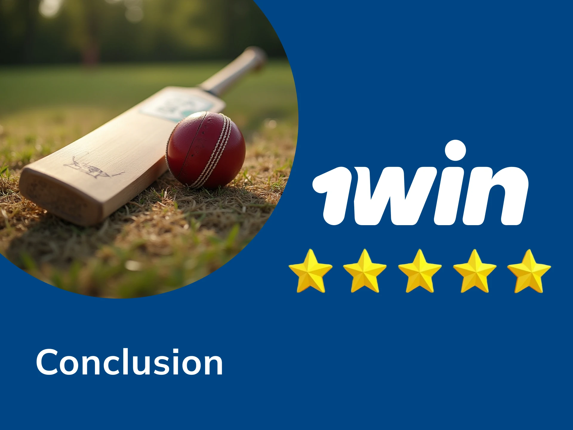 Choose the best cricket betting site from my rating.